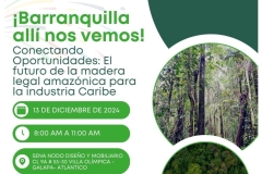 Futuro de la Madera legal Amazónica para la industria Caribe 