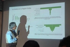 Futuro de la Madera legal Amazónica para la industria Caribe 
